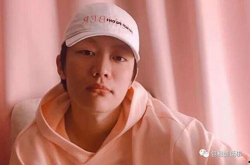 娱乐圈吃瓜模板横屏,揭秘明星背后的秘密与八卦风云